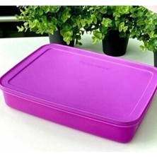 Tupperware Alaska Serisi Derin Dondurucu Saklama Kabı