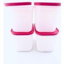 Tupperware Alaska 4lü 1.1 Lt Derin Saklama Kabı