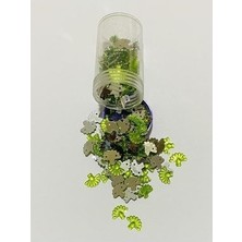 öztürk Oya, Havlu, Abiye ve Halay Mendili El Işleme Taş Görünümlü Yelpaze Plastik Pul. Renk No:4