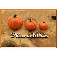Mum Biblo Balkabağı Biblo Üçlü Set