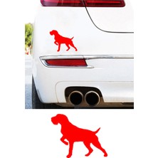 Mıgnatıs Pointer Köpek Resmi Oto Araba Cam Sticker Çıkartma Bilgisayarlar,kamyonlar, Motosikletler Için