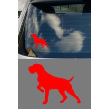 Mıgnatıs Pointer Köpek Resmi Oto Araba Cam Sticker Çıkartma Bilgisayarlar,kamyonlar, Motosikletler Için