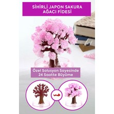 Mercan Hediyelik Sihirli Japon Sakura Ağacı