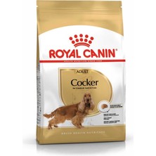 Royal Canin Cocker Adult Özel Irk Yetişkin Köpek Mamasi 3 kg