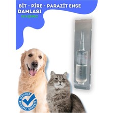 Kedi Köpek Iç Diş Parazit Uzaklaştırıcı Damla Bitkisel