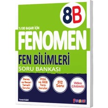 Fenomen Yayınları 8. Sınıf Matematik Fen Bilimleri B 2024-2025