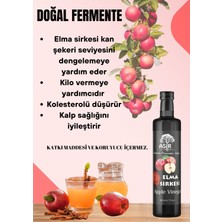 Asır Gıda Doğal Elma Sirkesi 500 Ml.