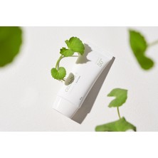 Mixsoon Centella Güneş Kremi SPF50+ Pa++++