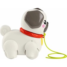 Fisher Price Sesli Minik Dostumla Yürüyüş HTW94