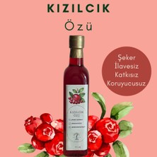 Sedlin Natural Kızılcık Özü