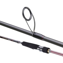 Daiwa Infeet Seabass 2.44M 14-42GR 2p Kamış