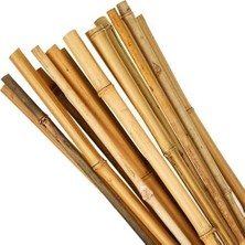 Botanik Bahçesi Orta Asya Gerçek Bambu Çubukları 2.40  Metre Boy 50 Adet 1 Bağ 20-22  mm  Çok Düzgün Kalınlıkta