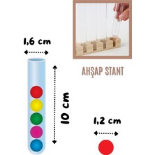 Miranino 2 Eğlenceli Eğitici Set Bir Arada Eğlenceli Tüpler ve Çubuklar