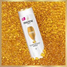 Pantene Şampuan Onarıcı ve Koruyucu 750 ml