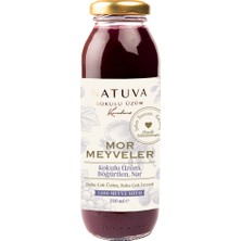 Natuva Mor Meyveler % 100 Meyve Suyu 250 ml ( Kokulu Üzüm, Böğürtlen, Nar )