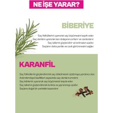 Urban Care Rosemary & Clove Biberiye ve Karanfil Saç Bakım Yağı % 99.5 Doğal ve Saf 100 ml