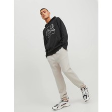Jack & Jones Erkek Jogger Eşofman Altı-Bej