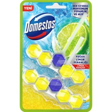 Domestos Tuvalet Bloğu Limon Bahçesi 100 G