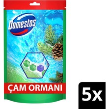 Domestos Tuvalet Bloğu Çam Ormanı 5'li Güç 250 G