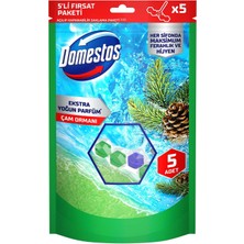 Domestos Tuvalet Bloğu Çam Ormanı 5'li Güç 250 G