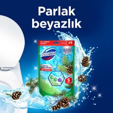 Domestos Tuvalet Bloğu Çam Ormanı 5'li Güç 250 G