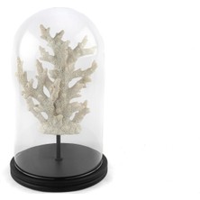 Mikasa Moor Beyaz Mercan Clear Cam Fanus 38X22CM