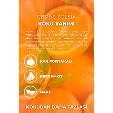 Citrus Soleia Parfümlü Kadın Vücut Spreyi Vücut Kokusu Vücut Misti Body Mist Spray 150ml