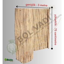 Bişkin 75 Cm X3 Metre Bambu Kamış Hasır Çit Gölgelikbahçe Çiti Balkon Çiti