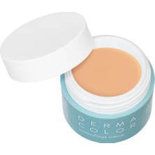 Kryolan Dermacolor Camouflage Creme 4 G D3W