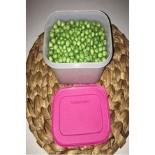 Tupperware Alaska 1.1 Lt..... Buzluk Serisi