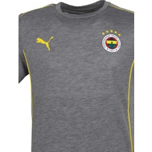 Puma Fenerbahçe Grı Tshırt