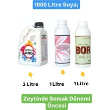 Zeytin Somak Çiçek Öncesi ve Sonbahar Uygulama Zengin Mikro element içeriği Azotlu Fosforlu Sıvı Gübre