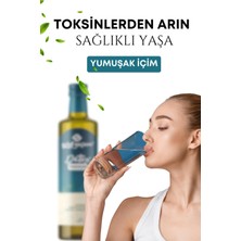 Detox Premium Doğal Detox Sirkesi,Suyu 250ML