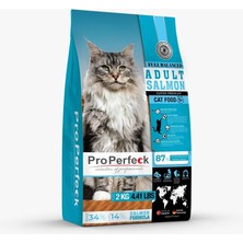 Süper Premium Yetişkin Somonlu Portakallı Kedi Maması 2 kg