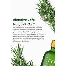 The Ceel Biberiye Şampuanı ve Biberiye Yağı Saç Bakım Seti