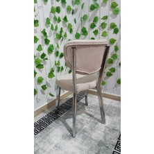 Özcan Mobilya Aksesuar 2 Adet Krom Metal Ayak Elma Mutfak Salon Sandalyesi Kafe Restoran Sandalyesi Metal Demonte Sandalye