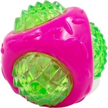 ANS Işıklı Köpek Oyuncağı Köpek Topu Pembe-Yeşil
