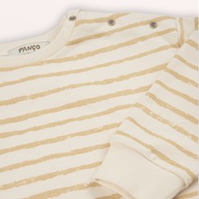 Panço Erkek Bebek Çizgi Desenli Sweatshirt