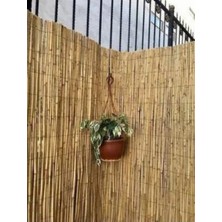 Bişkin Doğal Kamış Hasır Çit 120 cm x 2.5 Metre Balkon Çiti, Hasır Bambu Çit, Bahçe Çiti ve Gölgelik