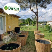 Bişkin 75 Cm X 250 Cm Misina İpli Doğal Bambu Kamış Çit Bahçe Çiti Hasır Çit Gölgelik