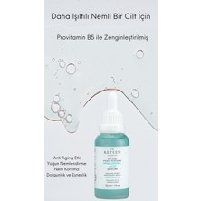 The RETEEN Cosmetics Dolgunlaştırıcı ve Anti Aging Etki Provitamin B5 Yoğun Nemlendirici Hyaluronic Acid Cilt Serumu 30 ml