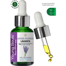 Young Souls Aromatherapy Lavender Angustifolia France Essential Oil Lavanta Angustifolia Fransa Uçucu Yağ 20 ml