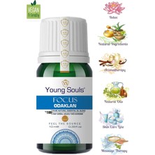 Young Souls Aromatherapy Focus Essential Oil Blend Odaklan Uçucu Yağ Karışımı 10 ml