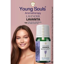 Young Souls Aromatherapy Lavender Officinalis Essential Oil Lavanta Uçucu Yağ 10 ml