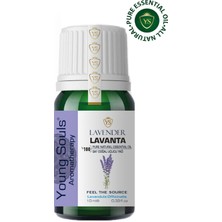 Young Souls Aromatherapy Lavender Officinalis Essential Oil Lavanta Uçucu Yağ 10 ml