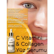 Ostwint C Vitamini & Collagen Yenileyici, Parlaklık Arttıcı, Leke Karştı Yüz Serumu