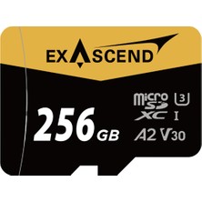 Exascend Catalyst Microsd Card Series 256GB (Sd Adapter Ile)