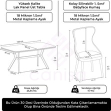 Canisa Esla Serisi 90X160 Lak Panel Antrasit Ironi Krom Kaplama Ayaklı Masa Takımı ve 6 Sandalye