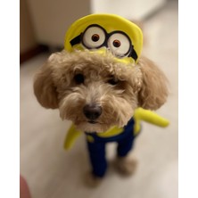 Minion Onden Giydirmeli Köpek Kıyafeti Kostümü