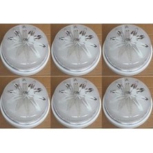 Nisaca Elektrohan Duylu Tavan Lambası Glop Armatür. 6lı Avantaj Paketi